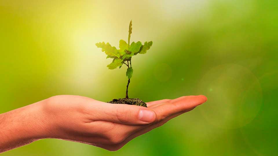 Afinal, é possível ao ar-condicionado não prejudicar o meio ambiente?